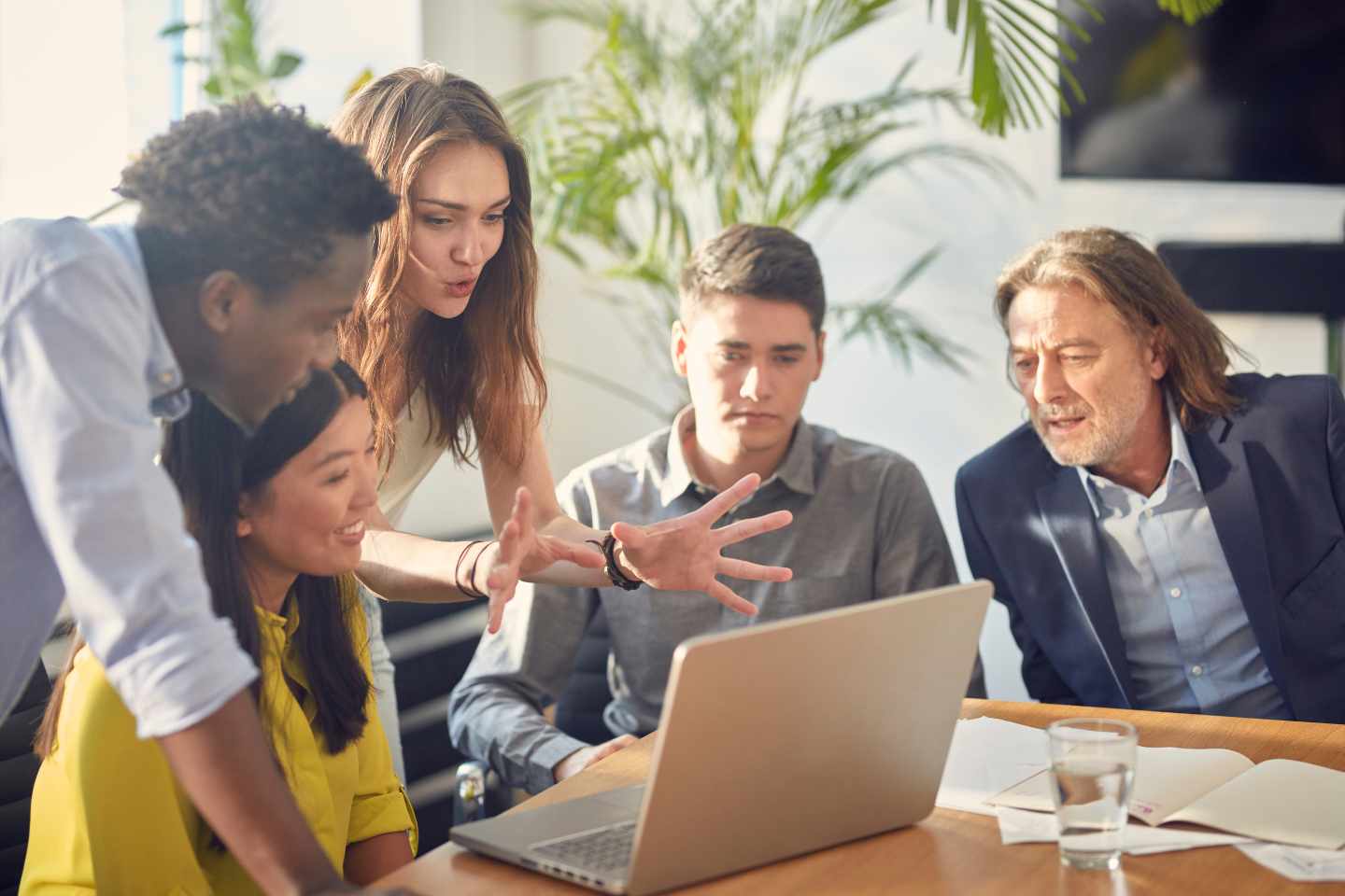 Start-Up Businesses & Other Services